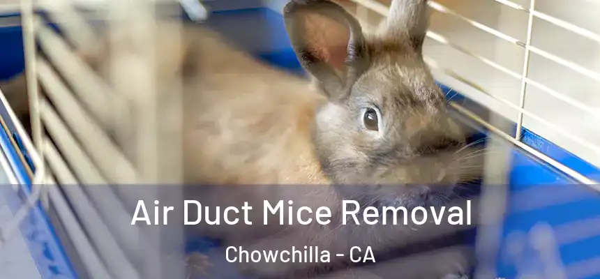  Air Duct Mice Removal Chowchilla - CA