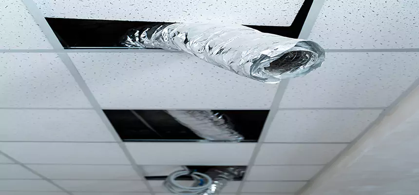 Affordable HVAC Sanitizing After Pest Removal in Chowchilla