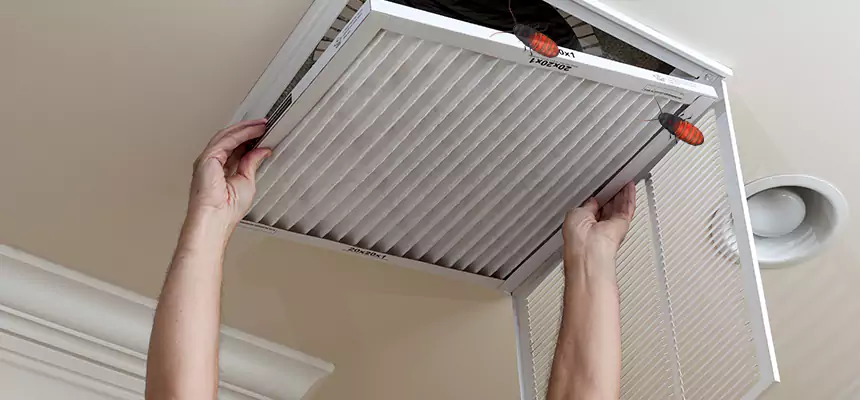 Our Insect Removal from Air Ducts Services in Chowchilla, CA