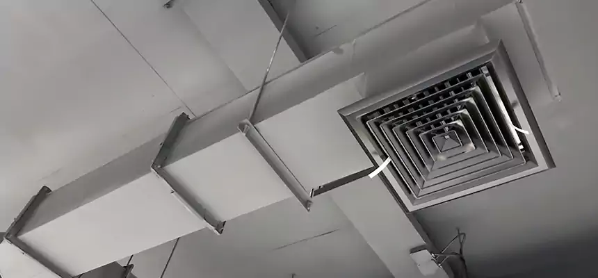 Our Rodent Droppings In Vents Services in Chowchilla, CA