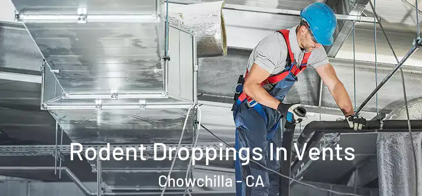  Rodent Droppings In Vents Chowchilla - CA