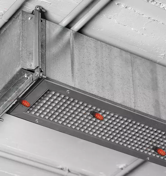 About Air Duct Cockroach Removal in Chowchilla, CA