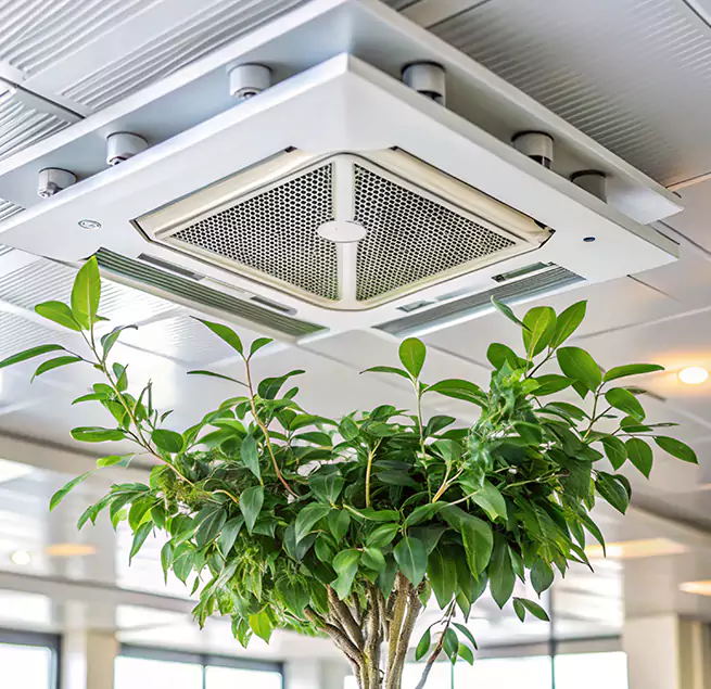 Why Homeowners & Businesses Trust Us in Chowchilla, CA?